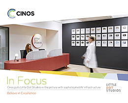 Download the Little Dots Studio Case Study